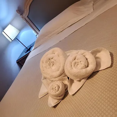호텔 페도라 2*
