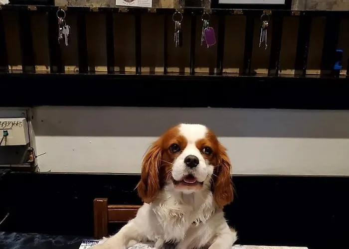 Hotel Fedora Florença